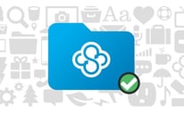 365-day file recovery